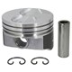 PSLH345DCP STD